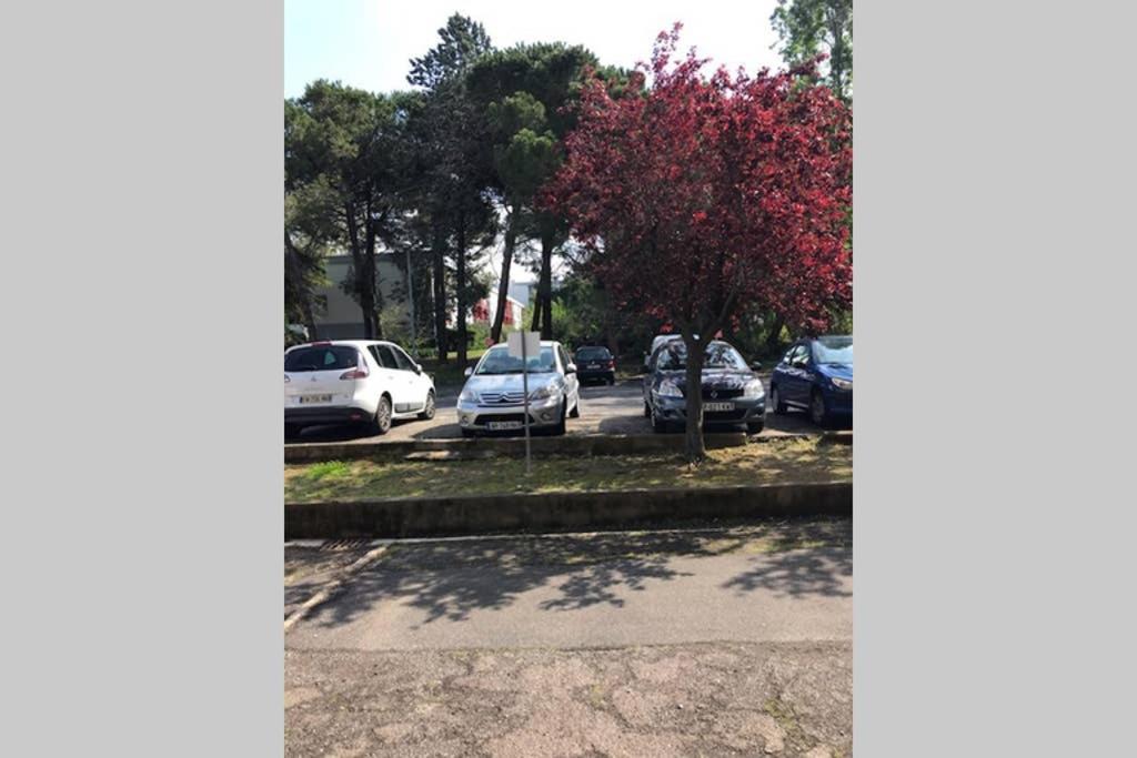 Bel Appartement Avec Vue Et Parking Prive Béziers Buitenkant foto