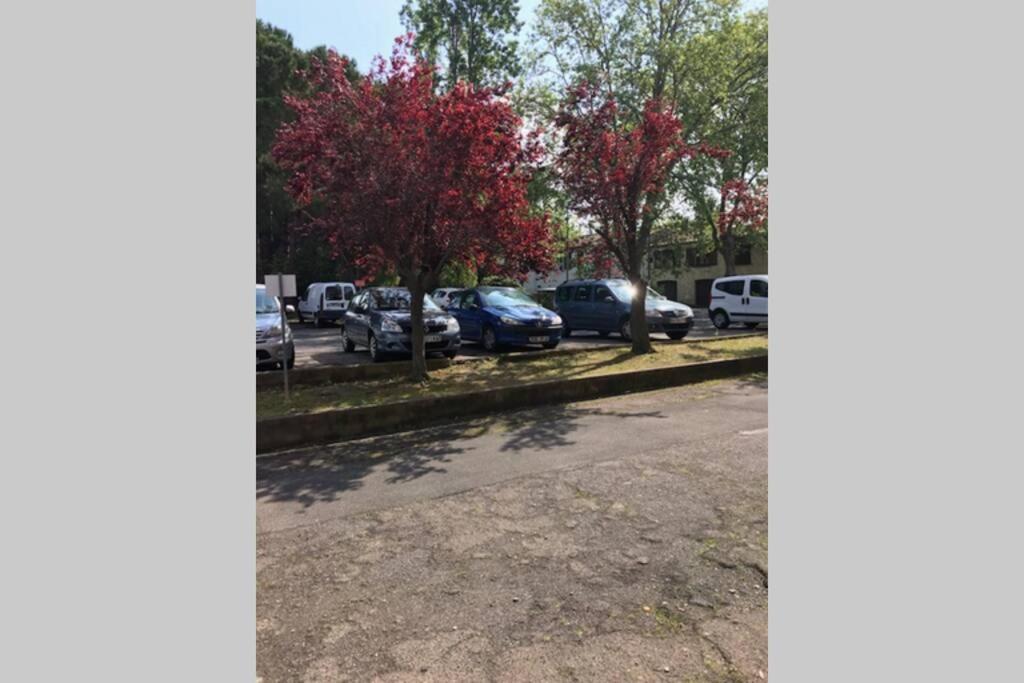 Bel Appartement Avec Vue Et Parking Prive Béziers Buitenkant foto