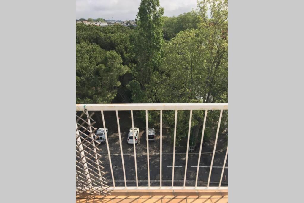 Bel Appartement Avec Vue Et Parking Prive Béziers Buitenkant foto